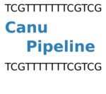 Canu Pipeline