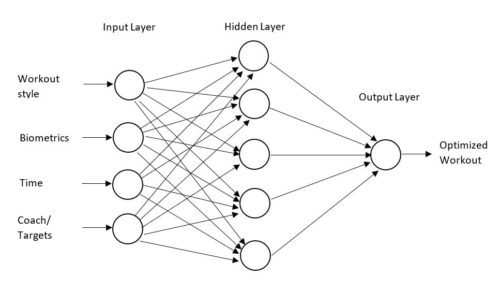 Neural network diagram MIRROR