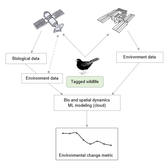 earth day 2022 machine learning environment biosensors diagram